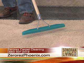 Carpet cleaning 101 by Zerorez