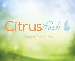 CitrusFresh Carpet Cleaning Atlanta – Award