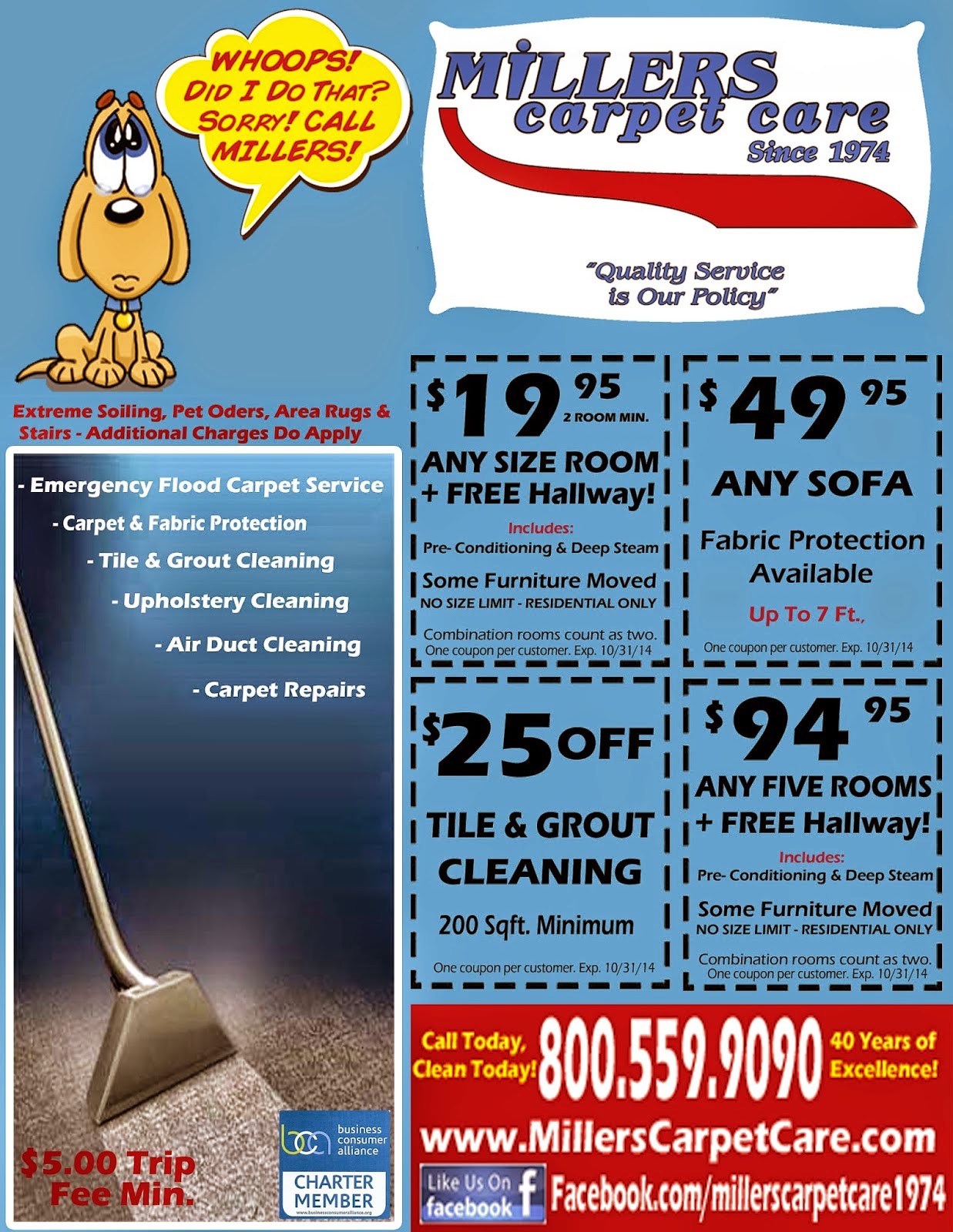Get More Than Just Carpets Cleaned with Miller's Carpet Care