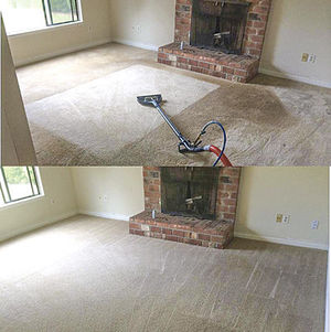 BG entrepreneur grows carpet cleaning business