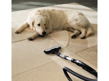 Give your carpets the clean they deserve with…