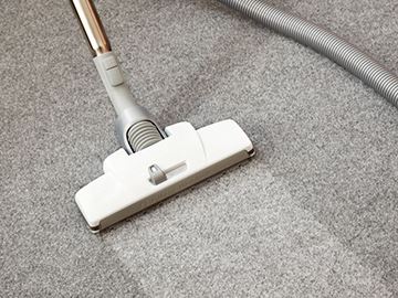Hamilton-based carpet cleaning company offers…