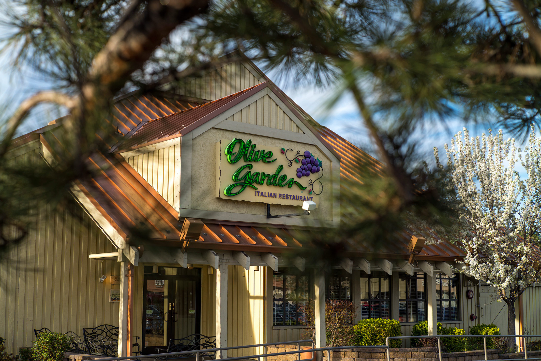 Olive Garden's Latest Cost-Cutting Plan: Clean Carpet Less Often
