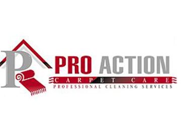 Pro Action Carpet Care