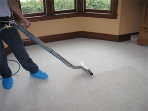 Home Improvement: Carpet Care 101