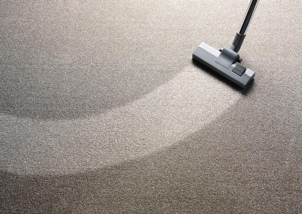 Carpet Cleaning Business Sunshine Coast