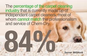 Chem-Dry's Revolutionary PURT Process for Pet-Stain Removal Improves Home Health