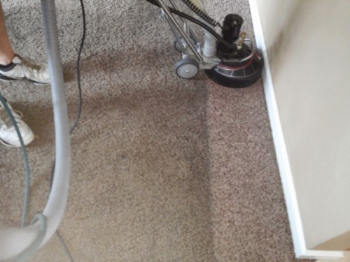 Redding Carpet Cleaners Deep Cleaning Fast Drying Pet Safe Service Released
