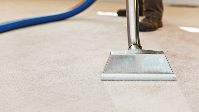 Carpet cleaning company helps domestic violence non-profit