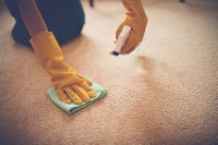 Don't make these carpet cleaning mistakes